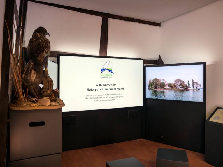 Links ein präparierter Greifvogel, in der Mitte und rechts zeigen Monitore Informationen über den Naturpark.